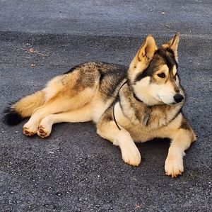 Meet your Posher, Ranita